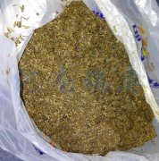 2021年適合投資酒糟烘干機(jī)嗎？